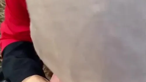 محجبة تمص لصاحبها وينيك طيزها في الجنينة سكس مصري xnxx